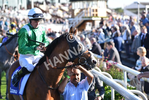 yr08102021r4-7 - Race 4 3.50pm Casumo Dare To be Different Handicap