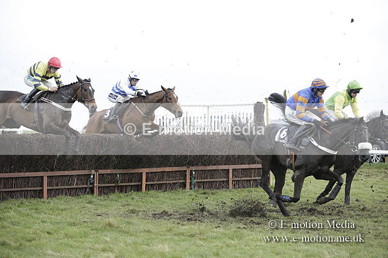 PtP 150320 0596 - New Forest Point-to-Point Larkhill 15/03/20