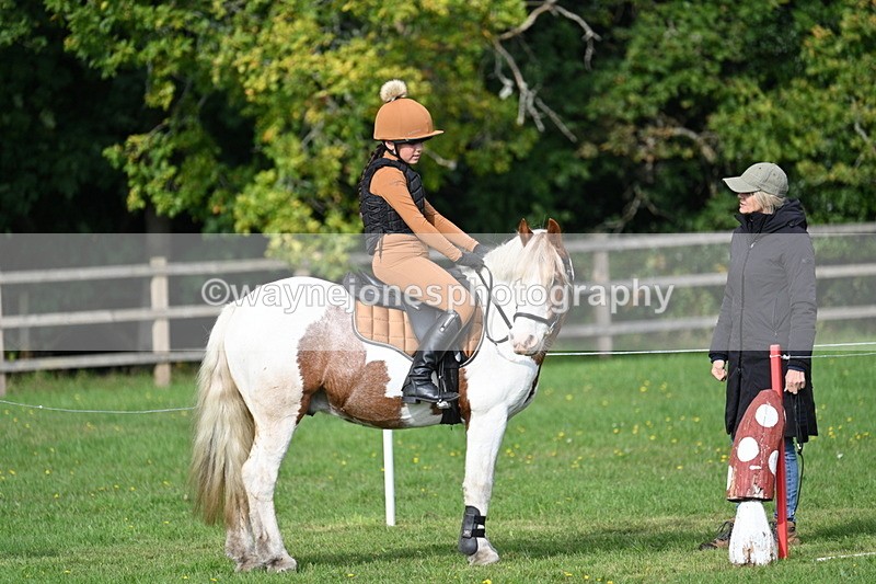 WJ7_3911 - 40cm Time 10:26 to 10:42