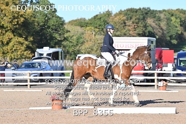 BPP_8355 - SHORT ARENA