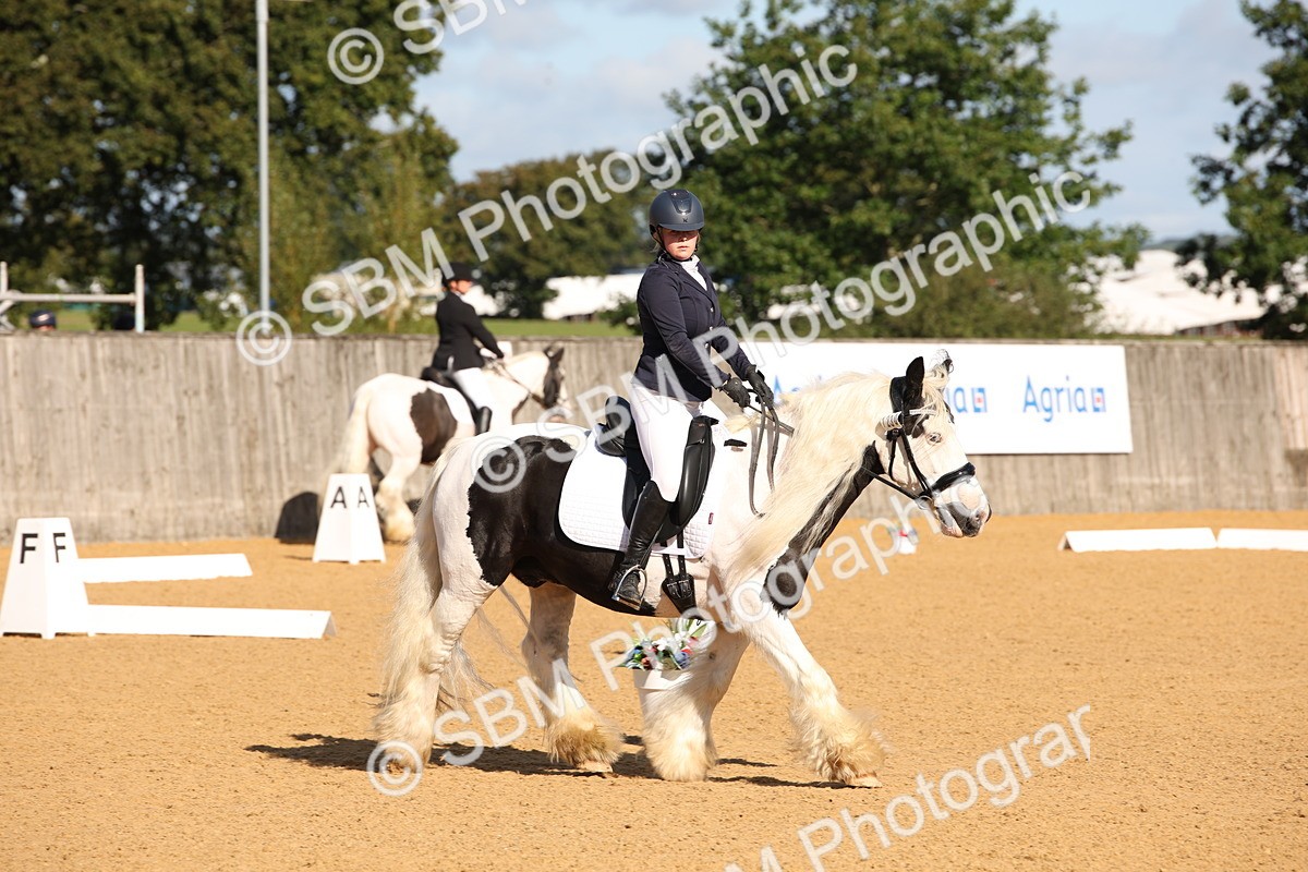 SBM_01946 - D2 Small Tour Championship Intro C