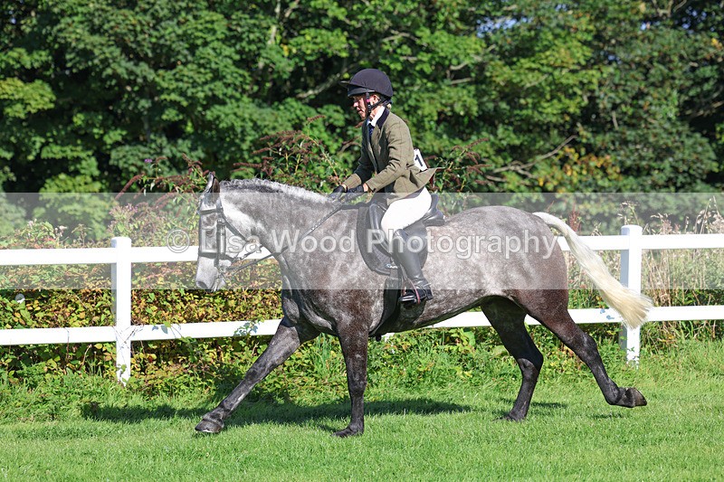 3E7A7857 - Class 2: Open Working Hunter pony
