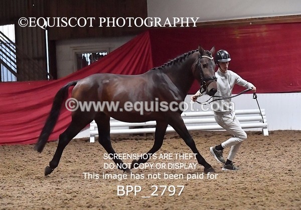 BPP_2797 - LOOSE JUMPING / SPSS