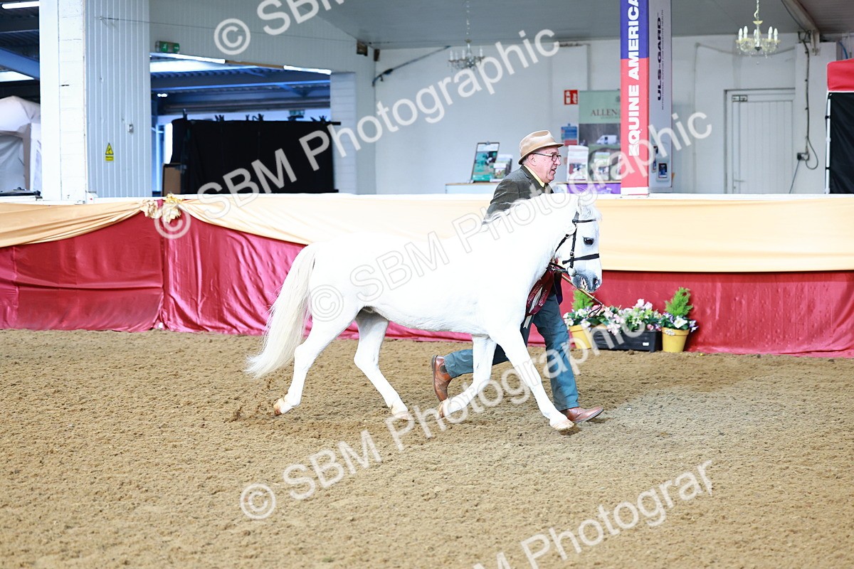 SBM_21944 - Class 901 - Supreme Final - IH  Diamond