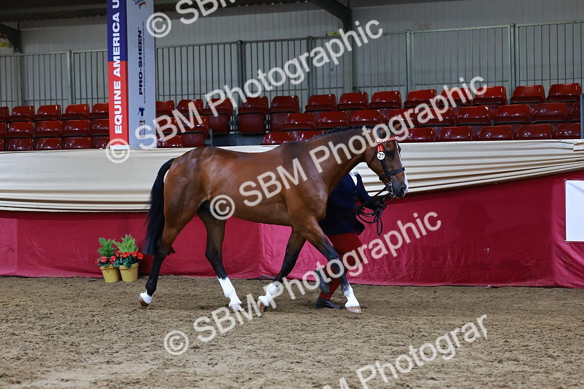 SBM_23029 - Supreme Final - IH  Champ