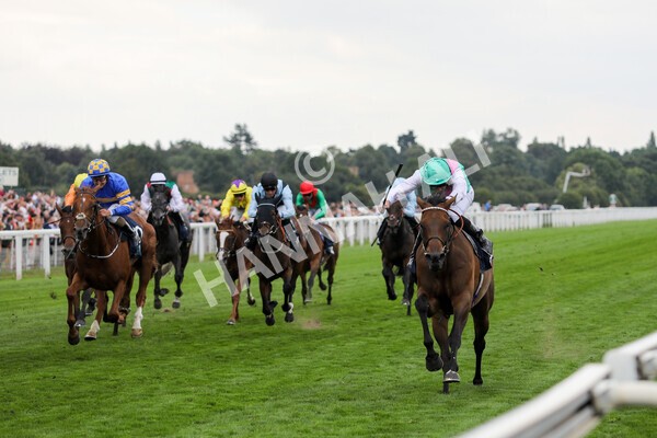 yr18082022r5-17 - Race 5 4.10pm British EBF & Sir Henry Cecil Galtres Stakes