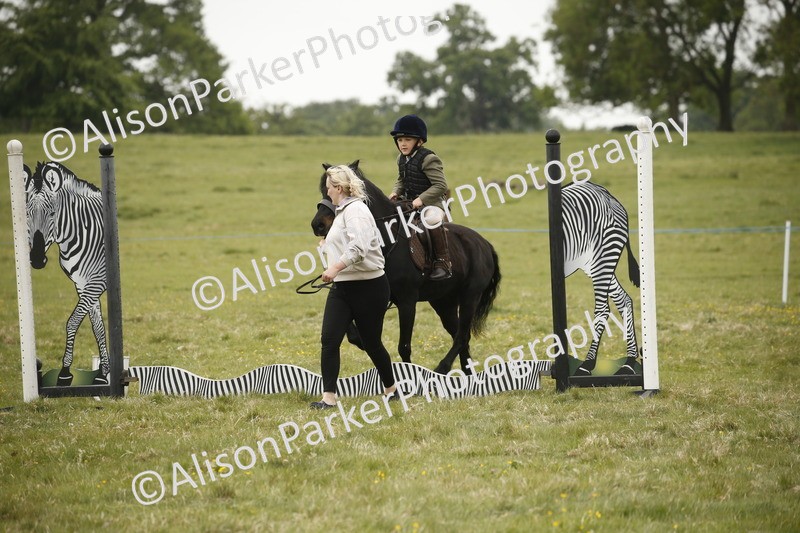 20250517-0304 - Class 1 - 30cm On Lead Rein