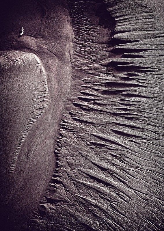 Close up's in Nature