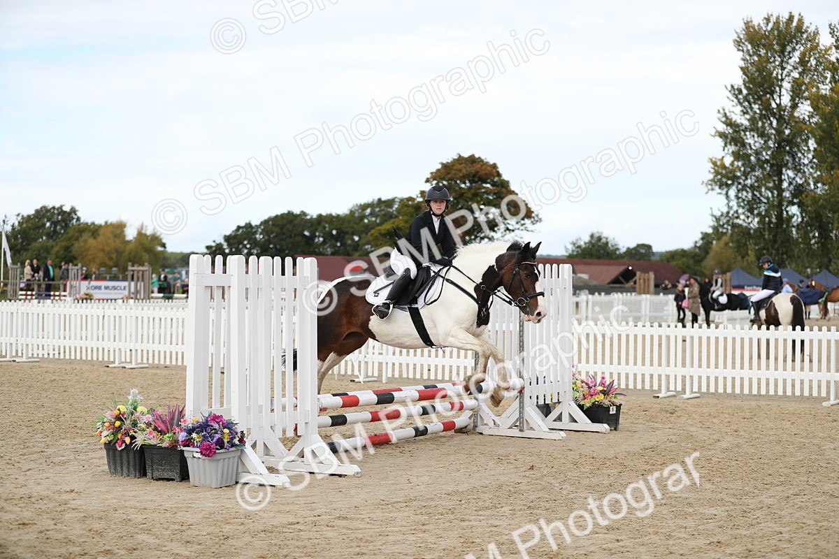 SBM_40807 - Supreme Championship 50cm 60cm
