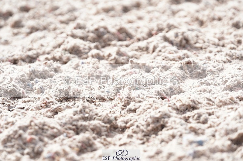 250322-132406-00486 - DR Elementary 2 Test