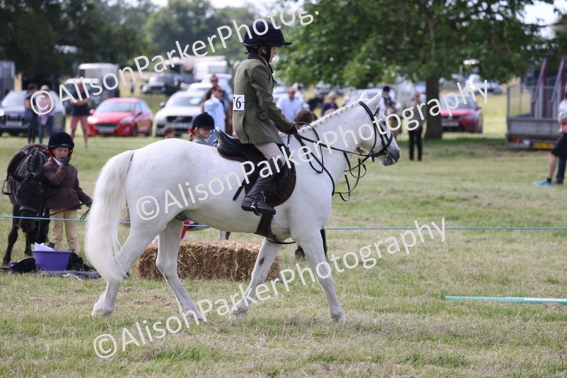 20260614-0660 - Class 20 - Beginners Working Hunter Pony