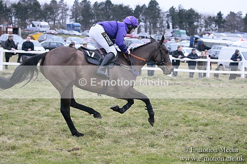 PtP 180218 865 - Combined Services Point-to-Point Larkhill 18/02/18
