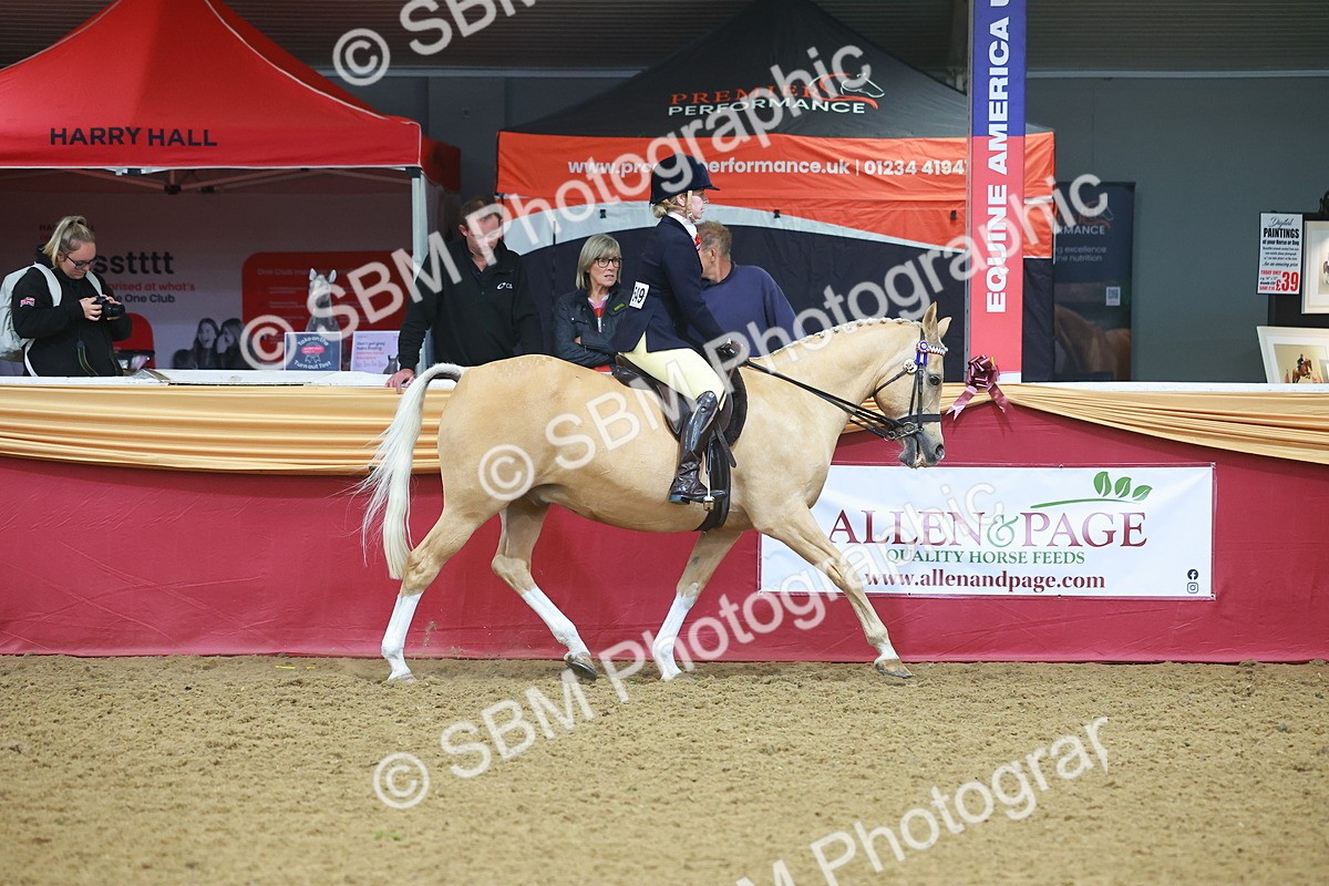 SBM_09637 - Class 102 - HOYS Veteran Qualifier - Ridden Veteran