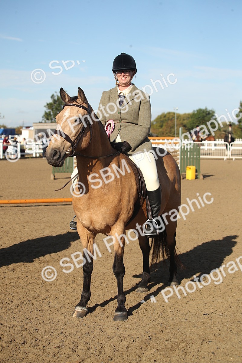 SBM_11594 - Class 502 - Riding Club Horse