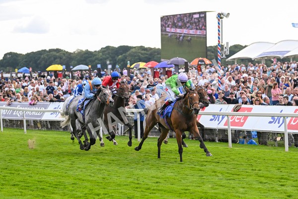 240824-Race 3-Breege-1429 - Race 3 3.00pm Sky Bet City Of York Stakes