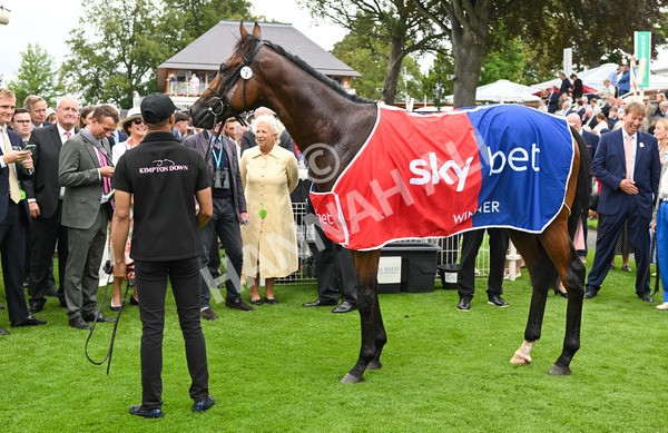 200825-126 Pride Of Arras - Race 3 3.00pm Sky Bet Great Voltigeur Stakes