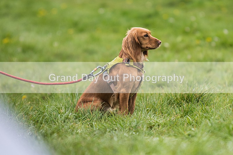 3 Peaks Finish-70 - The 3 Peaks Race Saturday 26th April 2025 - The Finish