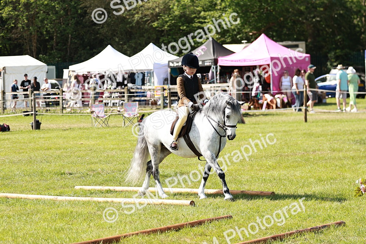 SBM_12710 - Class 106-107 - BSPS LIHS Working Sports Pony