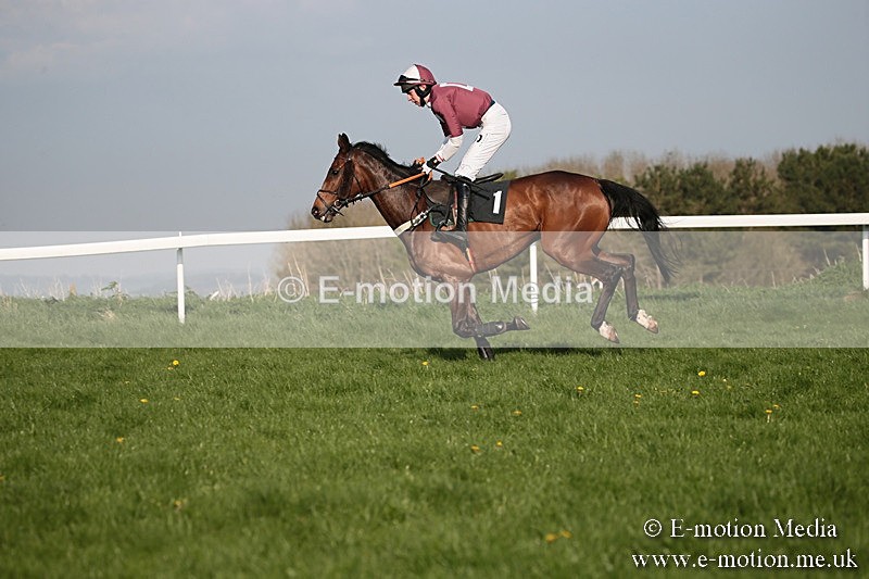 PtP 210418 580 - South & West Wilts Point-to-Point Larkhill 21/04/18