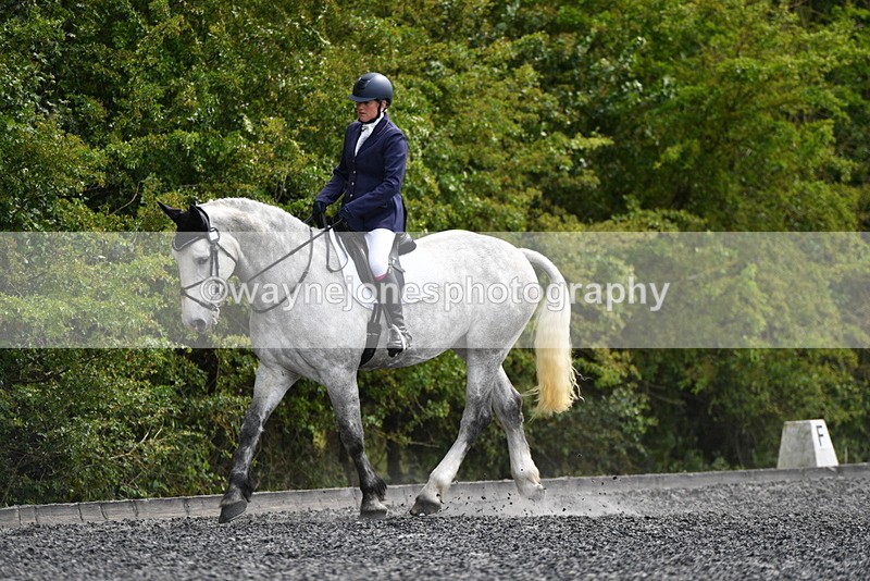 WJ5_1935 - Time 15:05 to 15:30