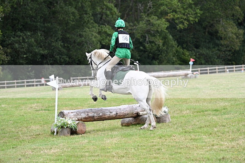 WJ7_8523 - 60cm Time 12:11 to 12:30