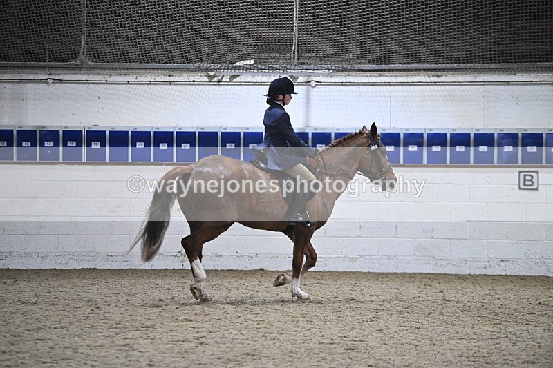 WJ7_4123 - Class 17 Ridden Cob