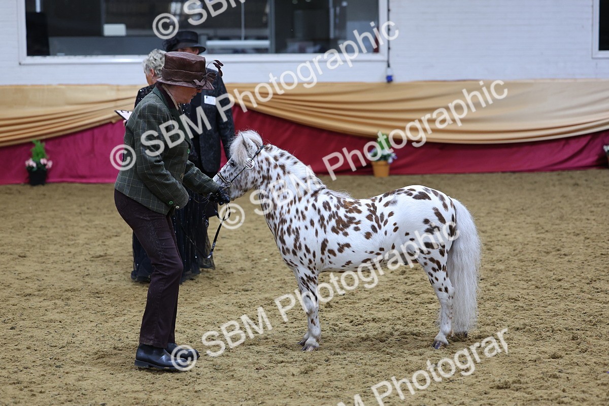 SBM_20892 - Class 902 - Supreme Final IH Veteran