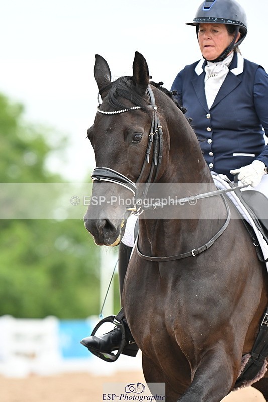 240623A-142432-19005 - Cls 51 BD Elementary 53