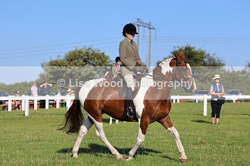 IMG_1266 - Class 27: Ridden Plaited Coloured Horse