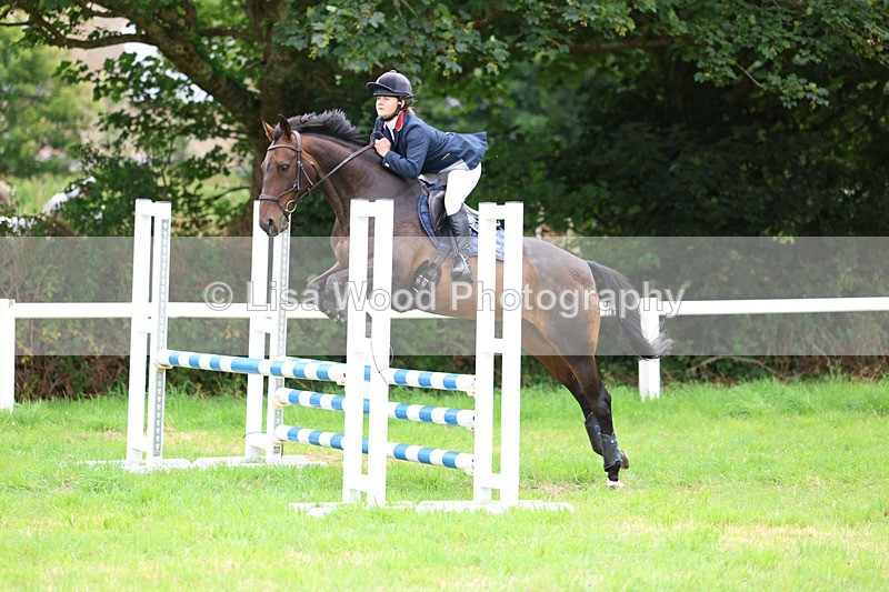 3E7A7162 - Class 5: Senior British Novice/90cm open