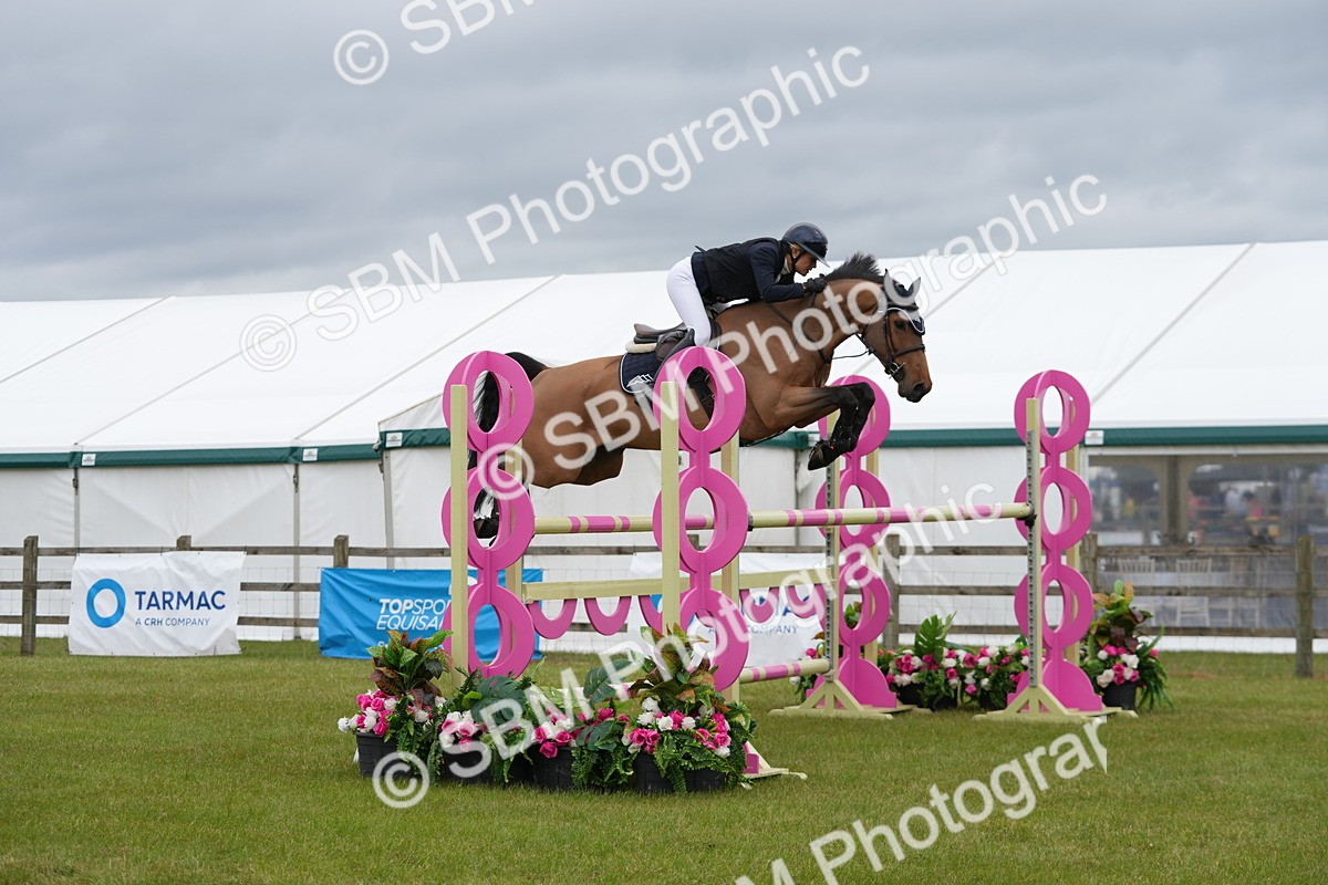 SBM_03389 - Class 201 - British Horse Feeds Speedi Beet Horse of the Year Show Grade  C