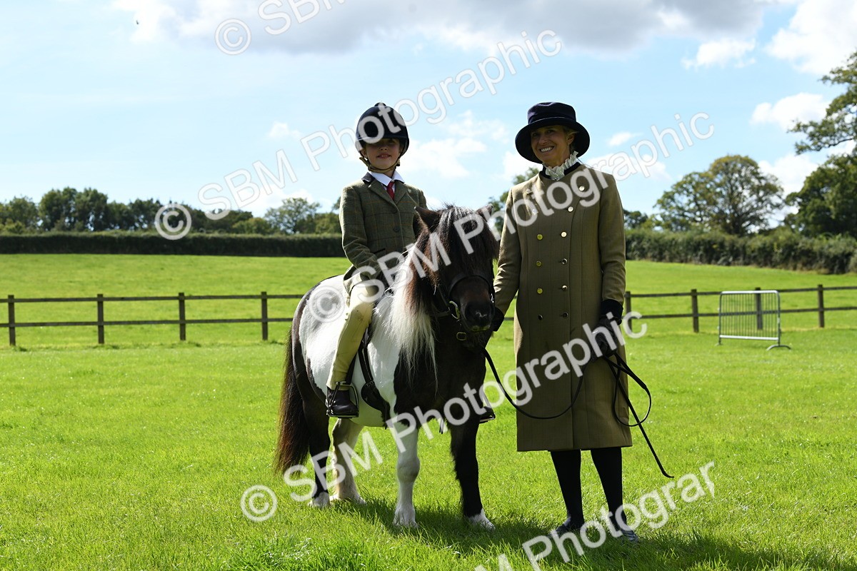 SBM_42576 - S20 - Lead Rein Mountain & Moorland Pony