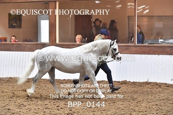 BPP_0144 - RING 1