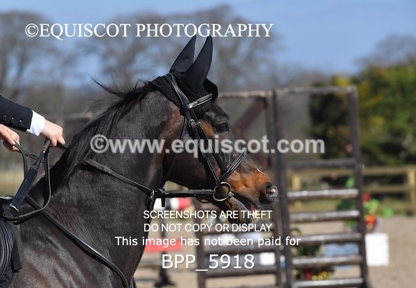 BPP_5918 - CLASS 4 SAt Blue Chip Pony Newcomers/ 1m Open