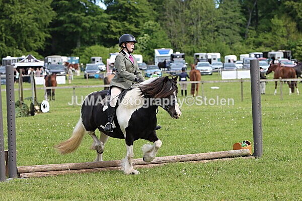 IMG_2381 - Working Hunter