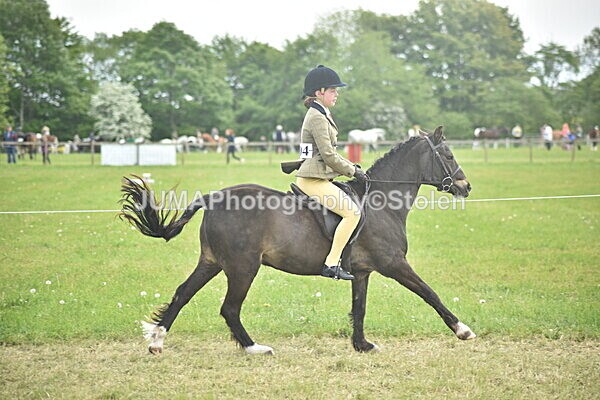 DSC_8598 - Rings 1 & 2