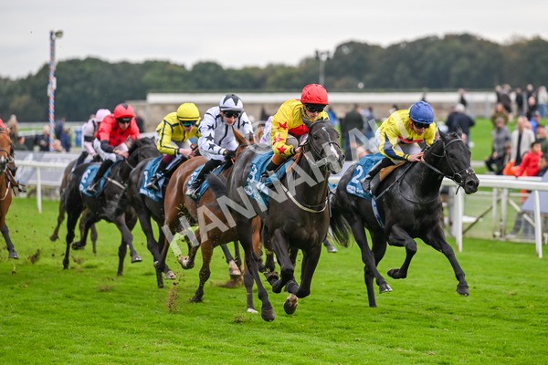 101025-Race 5-Go Vince Go-6980 - Race 5 Parsonage Hotel And Cloisters Spa Nursery Handicap at York