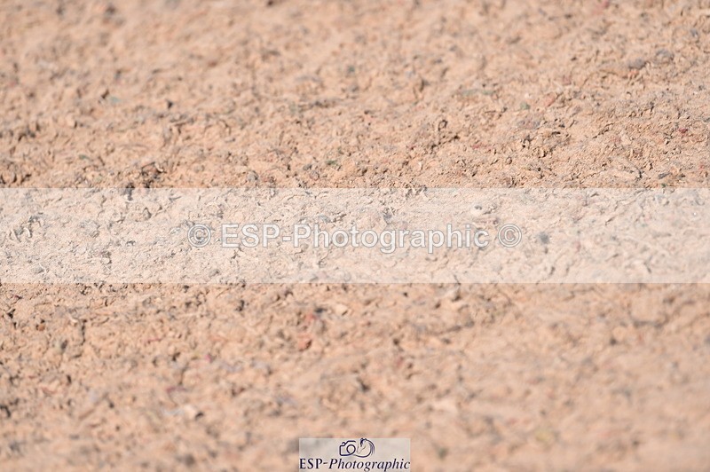 230720A-092214-01363 - Cls 25, 5 Yr Olds 1.10m