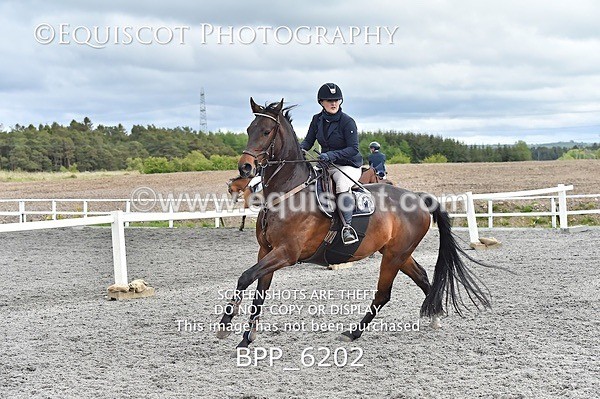 BPP_6202 - SUN CLASS 37 BR NOVICE/90CM