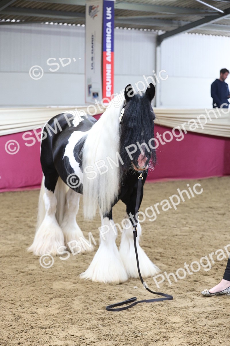 SBM_22584 - Class 902 - Supreme Final - IH Diamond