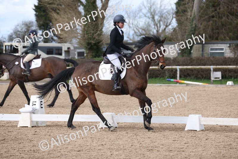 20260228-0713 - Class 5 - Novice 2