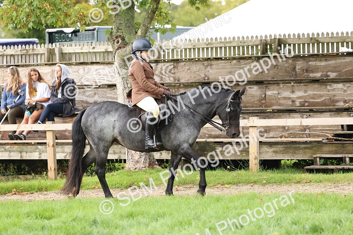 SBM_44916 - S27 - Young Veteran Ridden