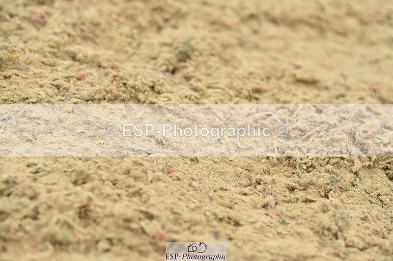 230720A-150126-03415 - Cls 17, 1 Star Silver 1.20m