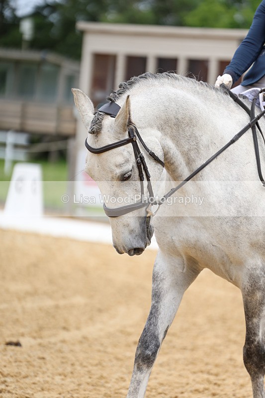 3E7A9275 - Class 2: Intro 1 2024 Section B