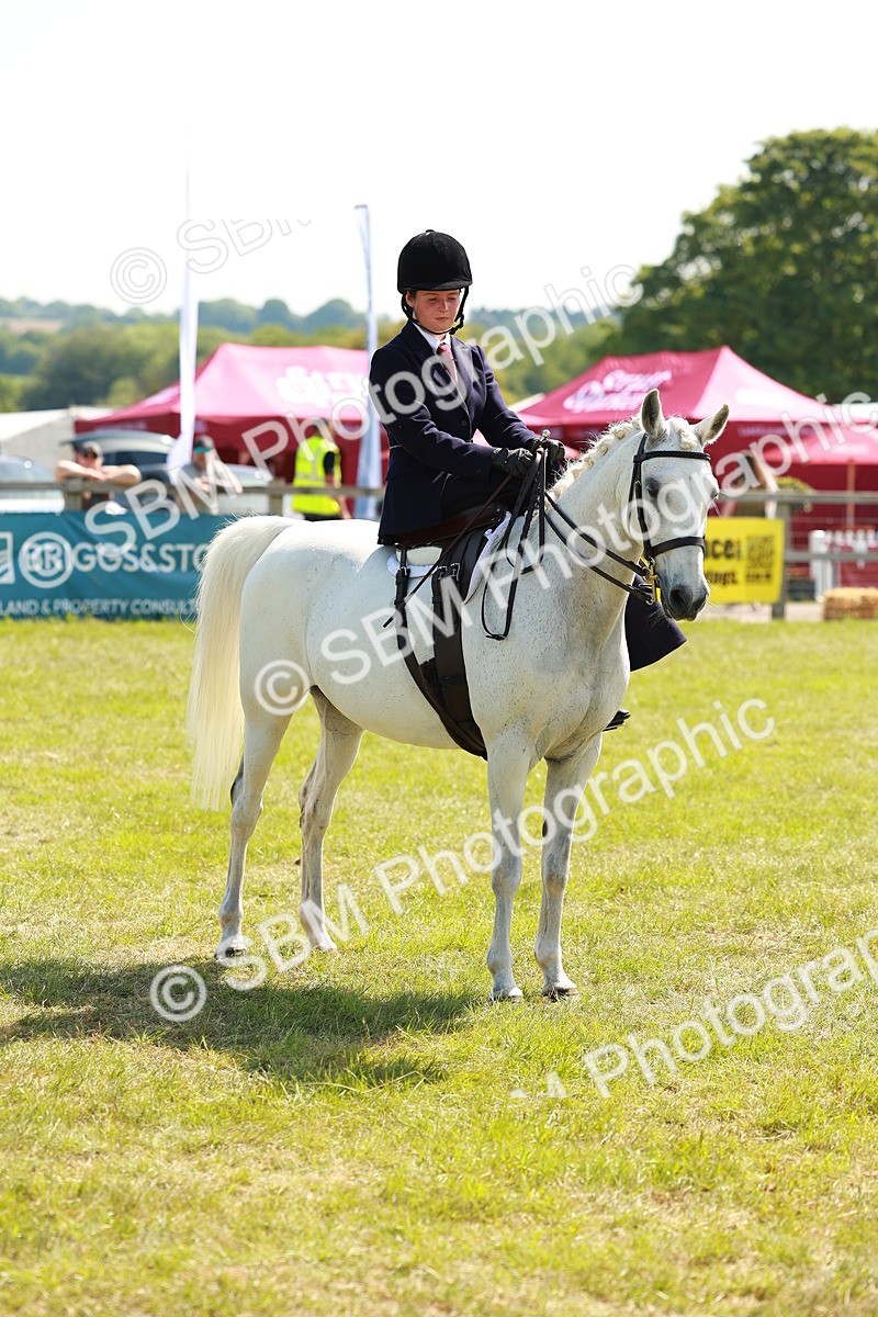 SBM_13376 - Class 70-71 - Side Saddle