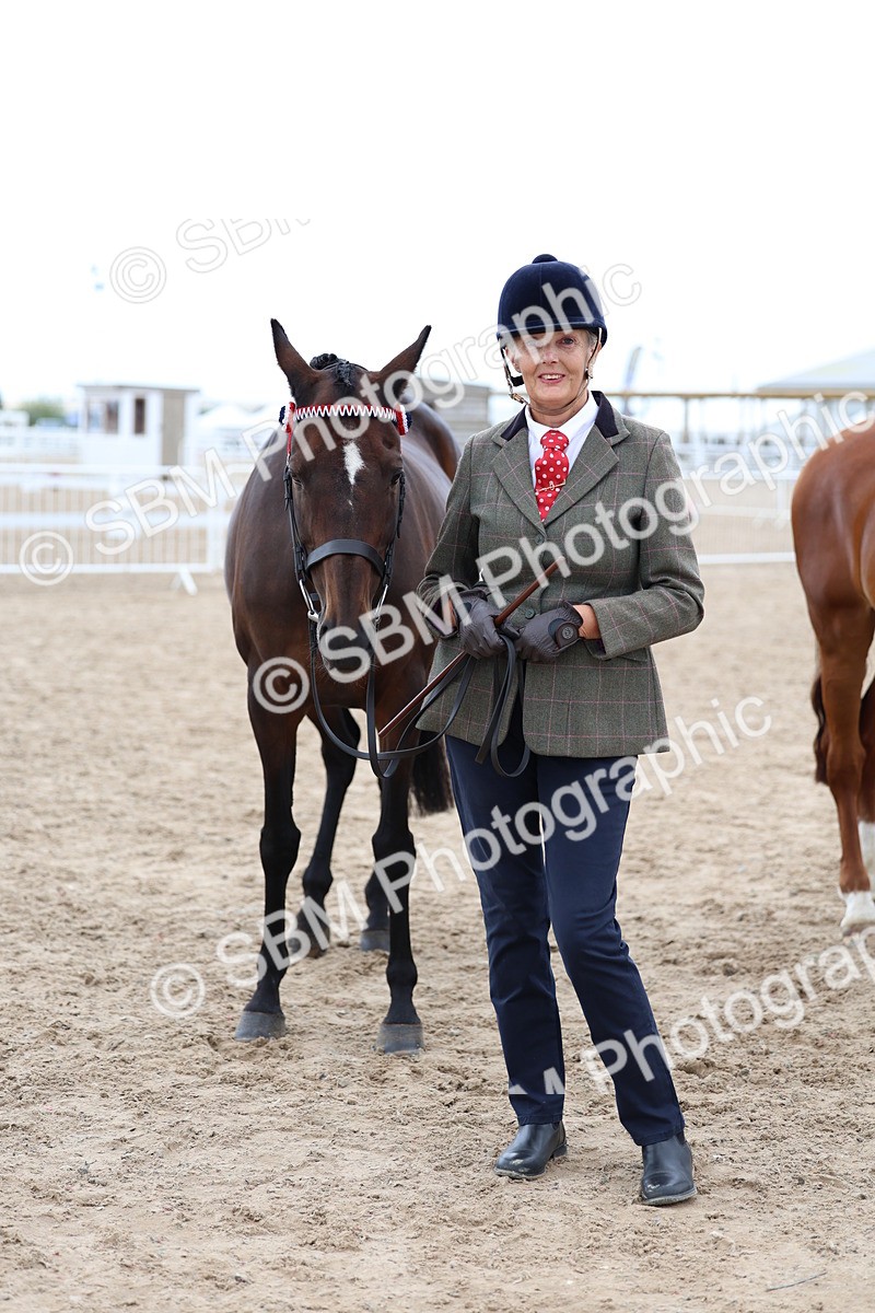 SBM_05736 - Class 28 - IH Veteran Horse