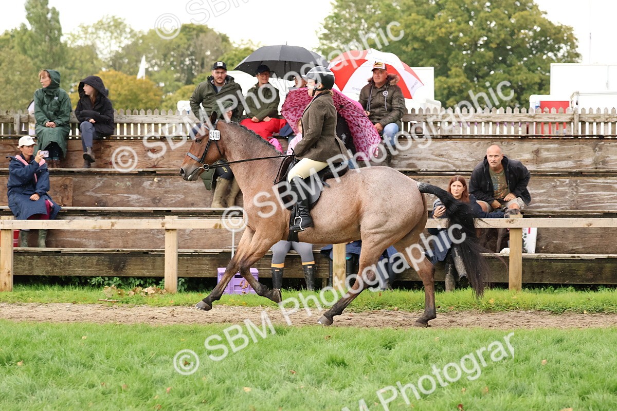 SBM_45022 - S27 - Young Veteran Ridden