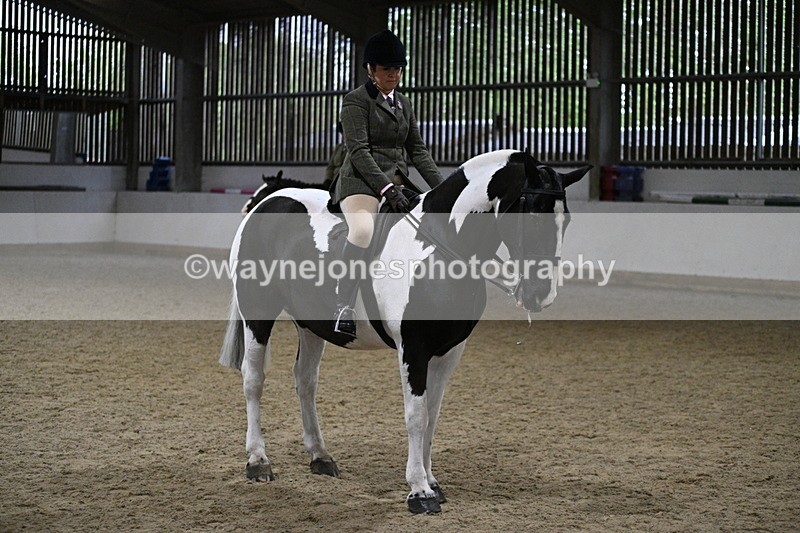 WJ7_4043 - Class 17 Ridden Cob