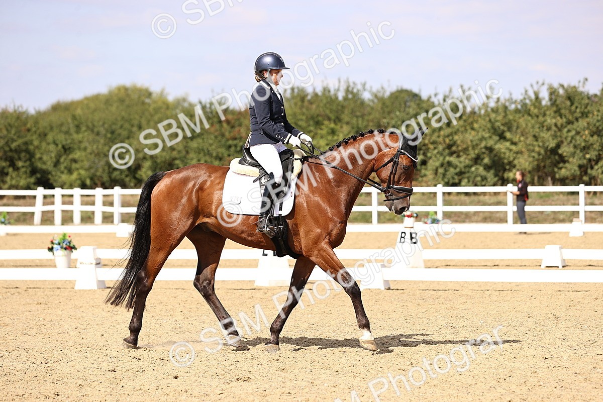 SBM_015071 - Class 6 - Elementary 5