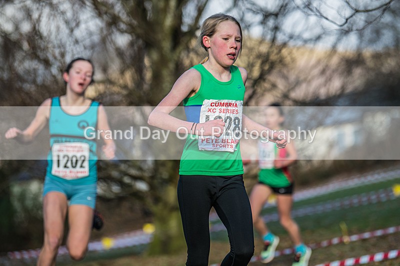 Cumbria XC-272 - Cumbria Cross Country Championships (Junior & Senior Races) Saturday 3rd January 2026